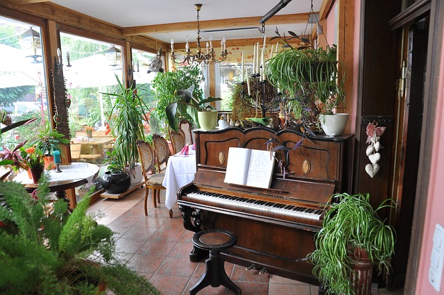 魔法の庭のピアノレッスン　　魔法の庭ものがたり 6　　あんびるやすこ/作　ポプラ社