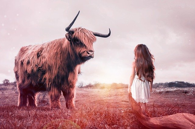 ノロウェイの黒牛　　イギリス・スコットランドのむかしばなし　　なかがわちひろ/文　さとうゆうすけ/絵　BL出版